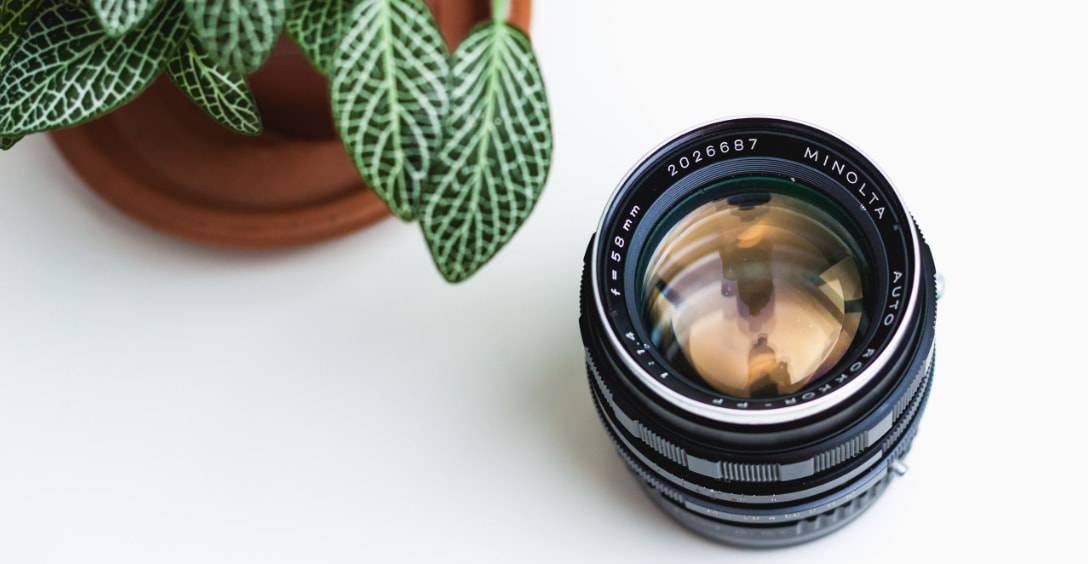 camera lens leaning on a table next to a plant