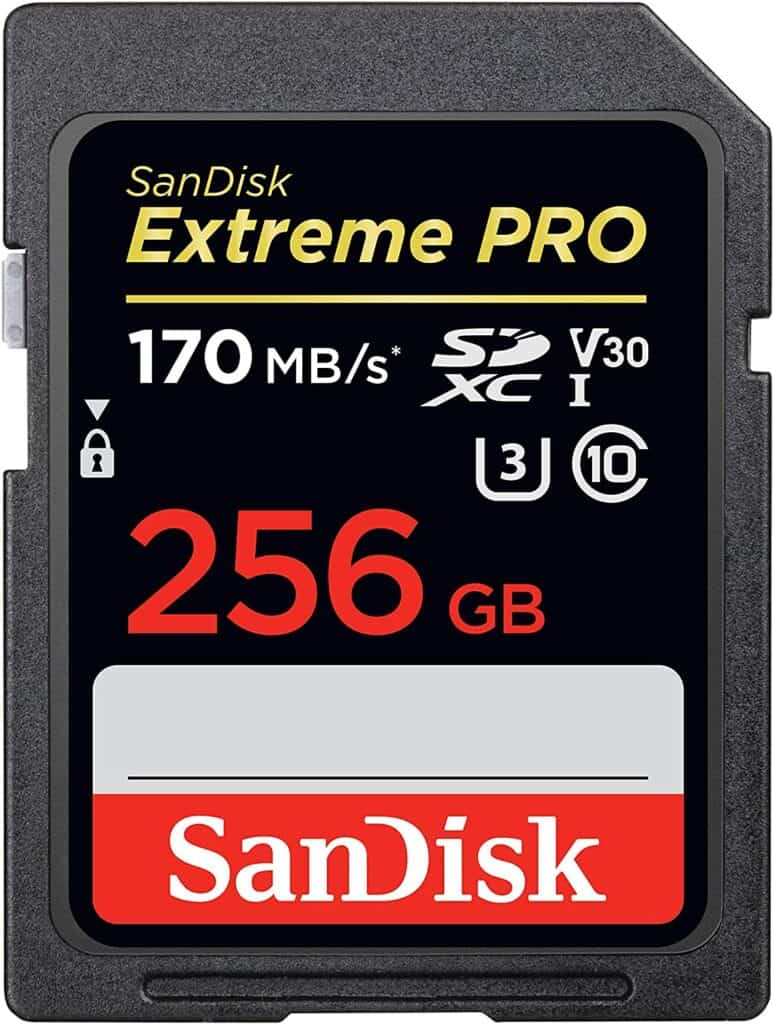 front side of a 256GB SanDisk card